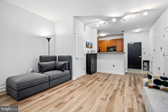 living room featuring light hardwood / wood-style floors