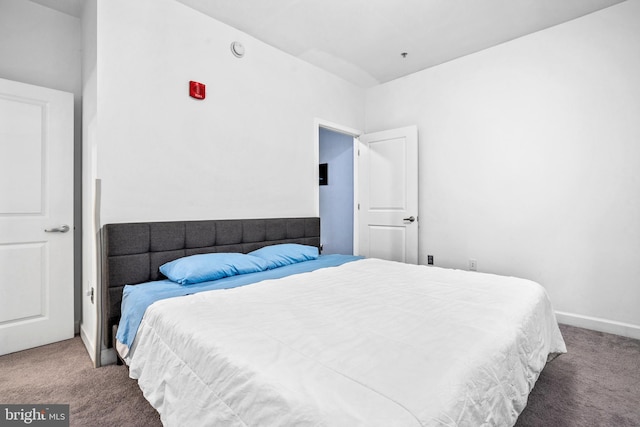 bedroom with carpet floors