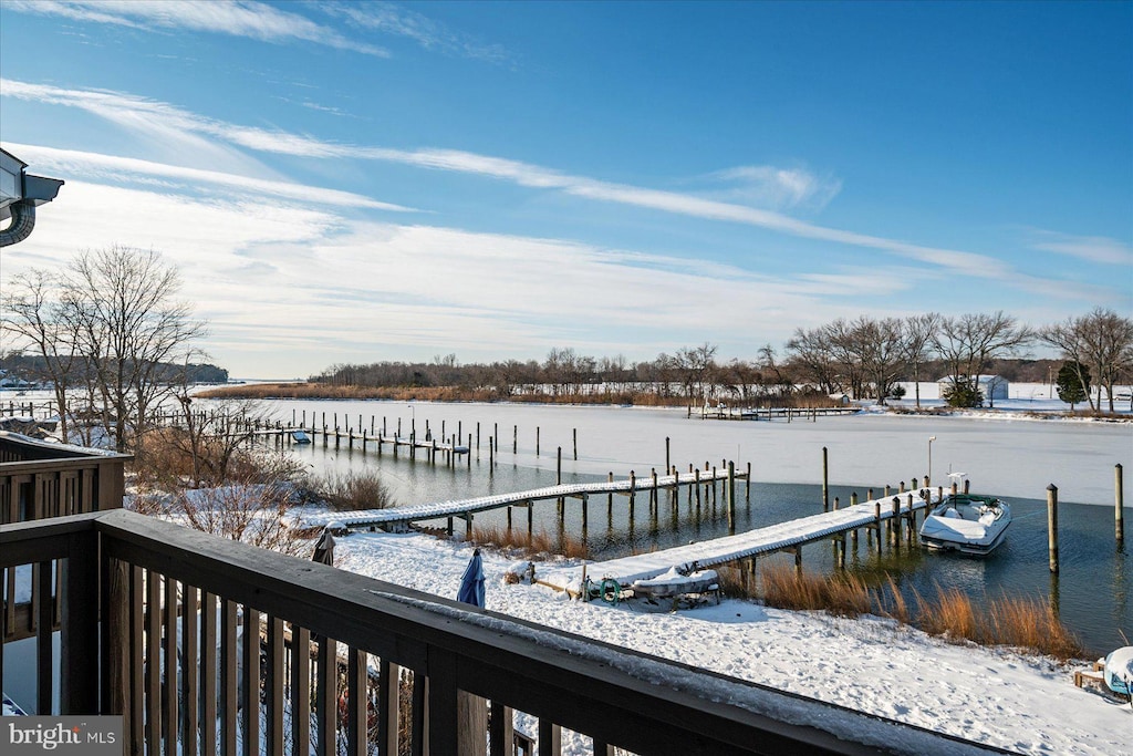 dock area with a water view