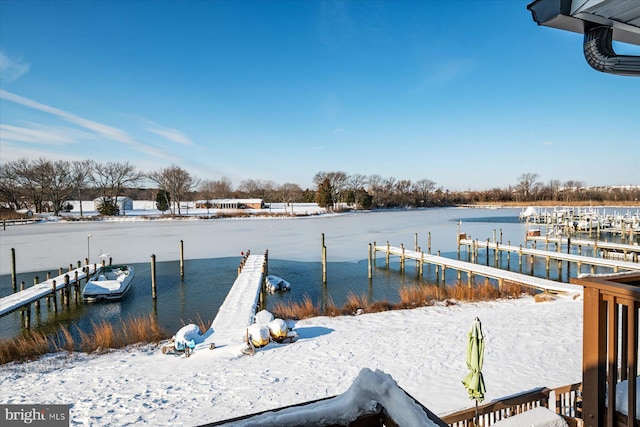 dock area with a water view