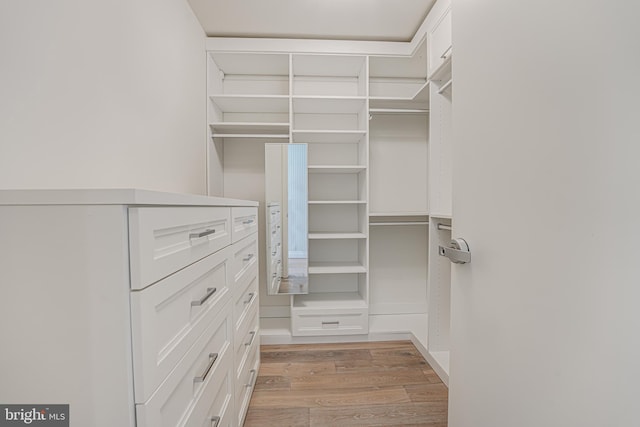 walk in closet featuring light hardwood / wood-style flooring