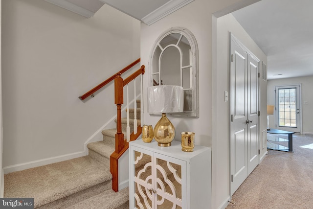 stairway with carpet floors and crown molding