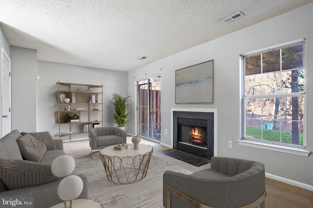 carpeted living room with a textured ceiling