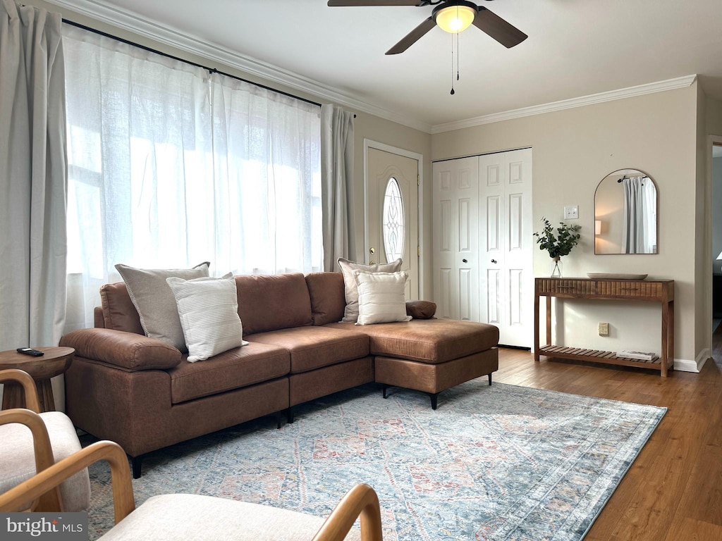 living room with wood-type flooring, ceiling fan, and crown molding