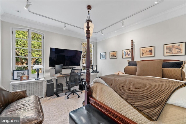 bedroom featuring track lighting and crown molding