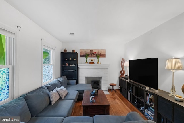 living room featuring wood-type flooring