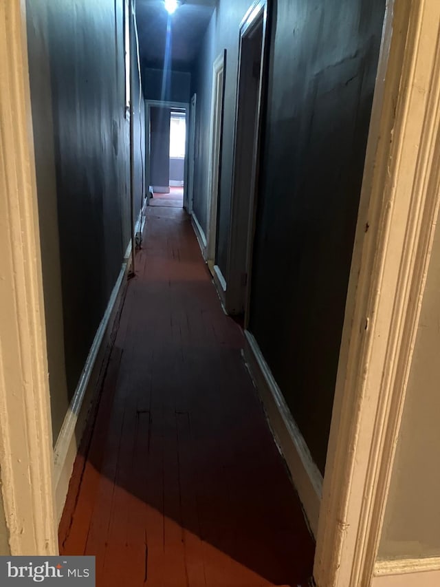 hallway featuring dark hardwood / wood-style flooring