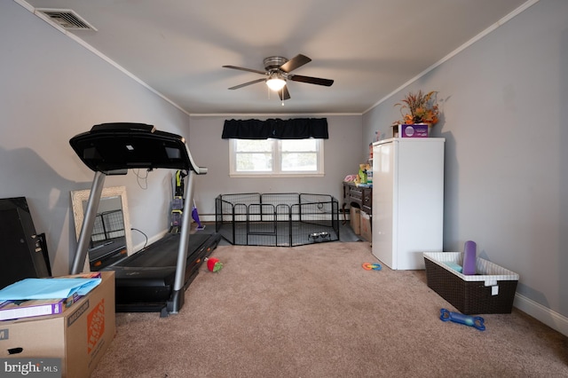 exercise area featuring carpet flooring, ornamental molding, and ceiling fan