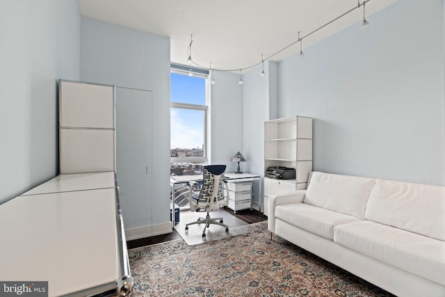 office space with a wall of windows and wood-type flooring