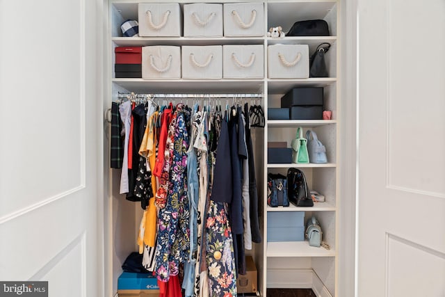 view of closet