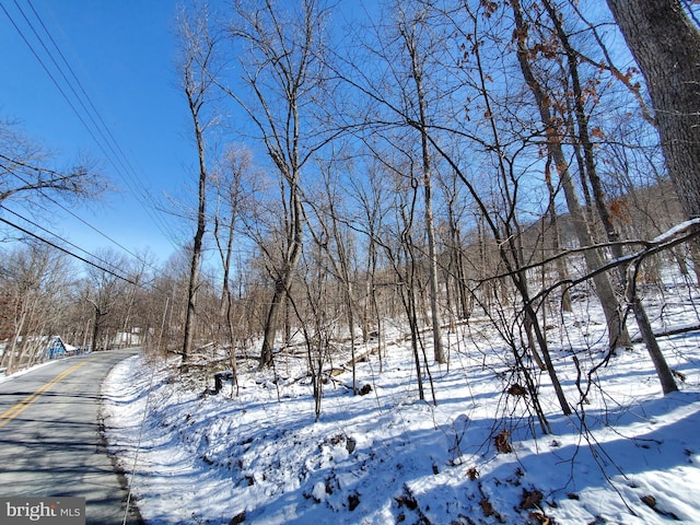 Listing photo 2 for Nancy Jack Rd, Gerrardstown WV 25420