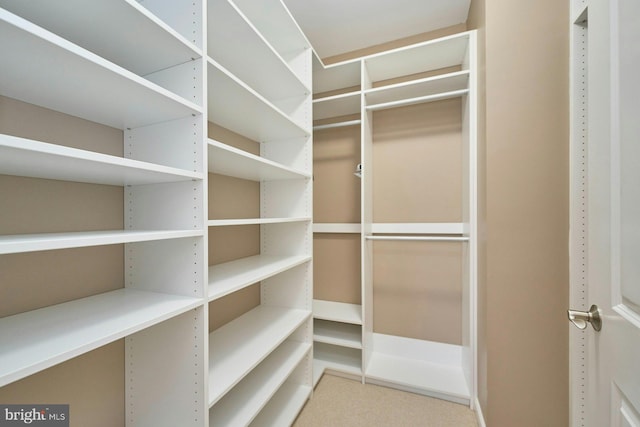 view of spacious closet