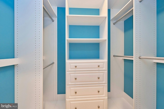 view of spacious closet