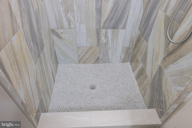 interior details featuring a tile shower