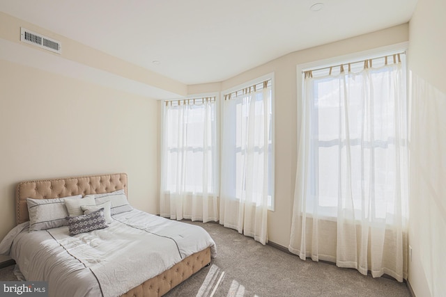 bedroom featuring carpet flooring and multiple windows