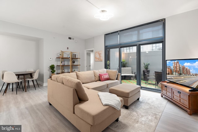 living room featuring a healthy amount of sunlight and light hardwood / wood-style flooring