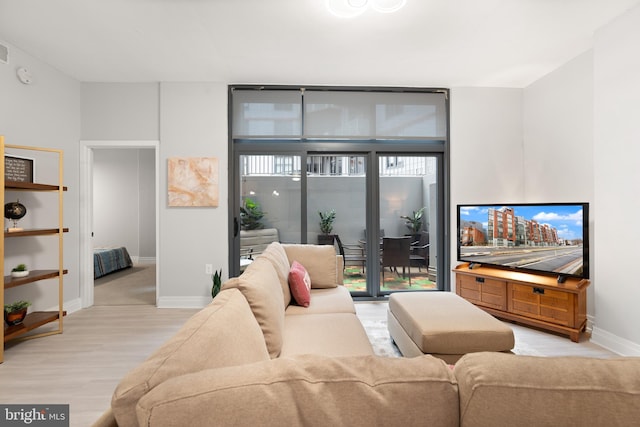 living room featuring a wall of windows, plenty of natural light, and light wood-type flooring