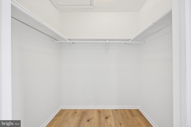 spacious closet with hardwood / wood-style flooring