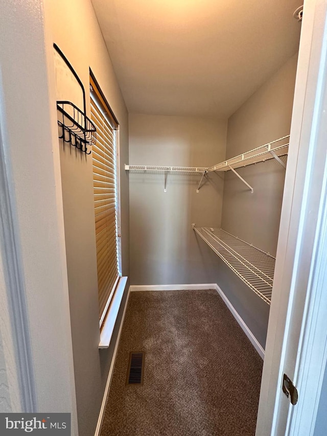 walk in closet featuring carpet floors