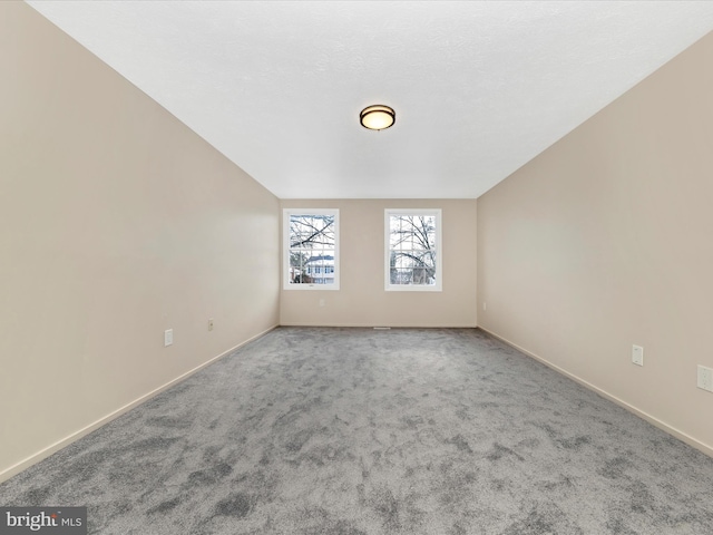 bonus room featuring carpet flooring