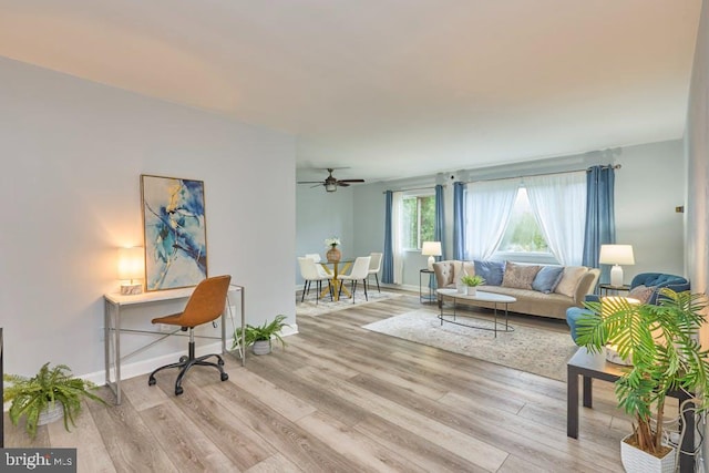 living room featuring light wood-type flooring