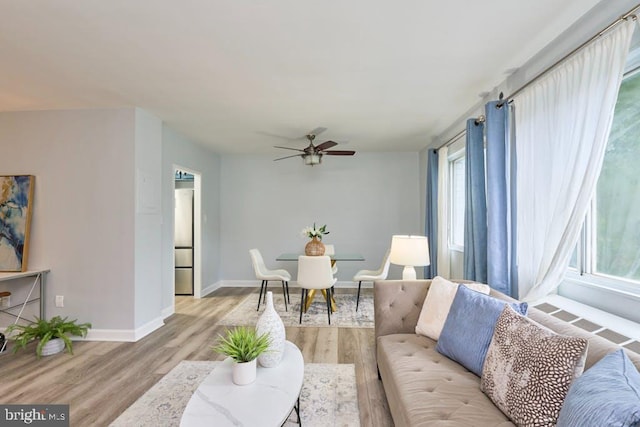 living room featuring ceiling fan and light hardwood / wood-style flooring