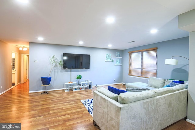 living room with wood-type flooring