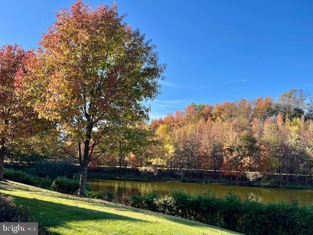 view of yard featuring a water view