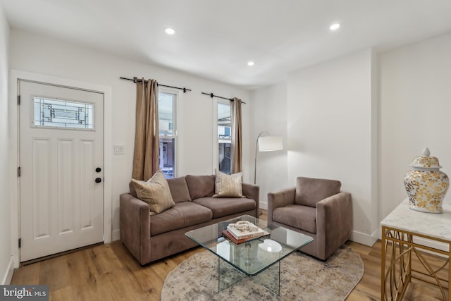 living room featuring light hardwood / wood-style flooring