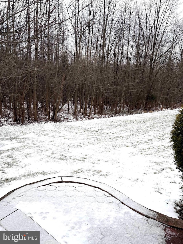 view of snowy yard