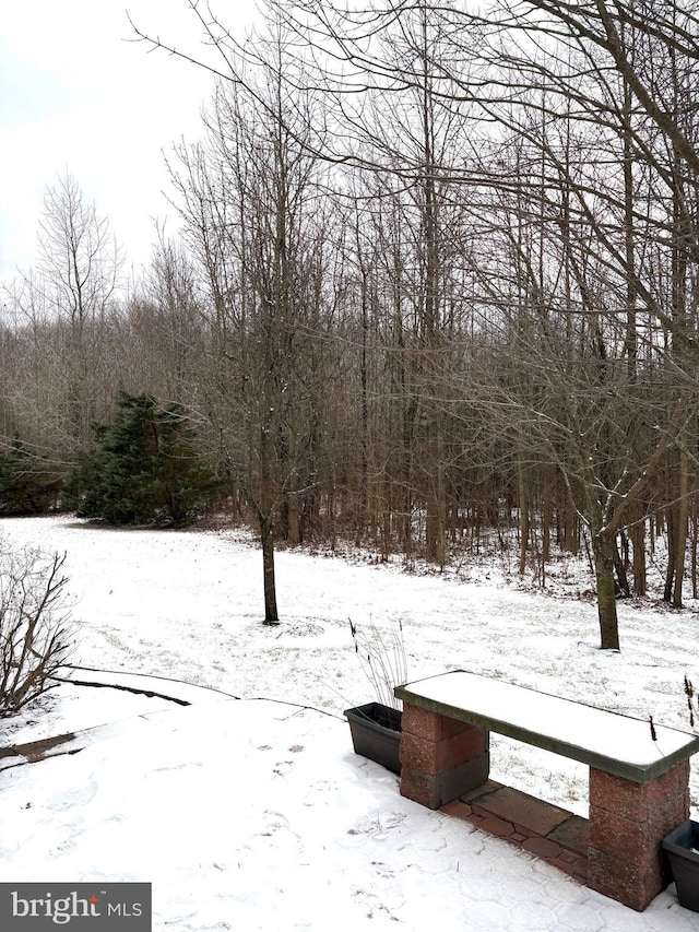 view of yard layered in snow