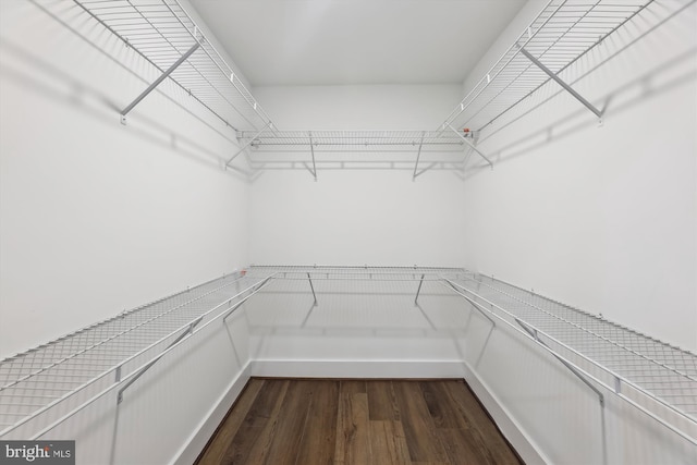 walk in closet featuring dark wood-type flooring