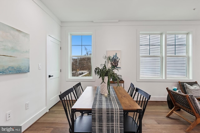 dining room with wood-type flooring and ornamental molding