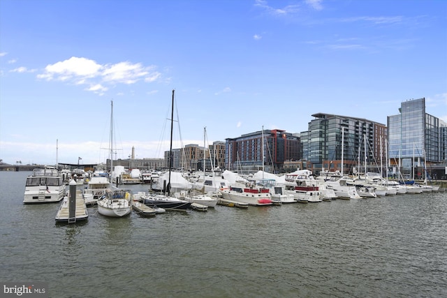 property view of water with a boat dock