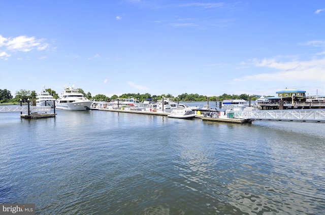 dock area with a water view