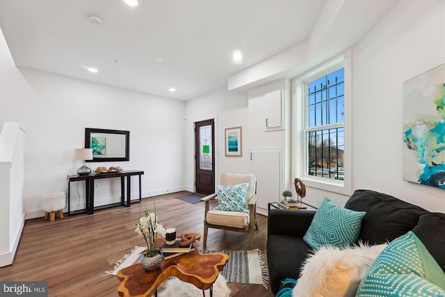 living room with dark hardwood / wood-style floors