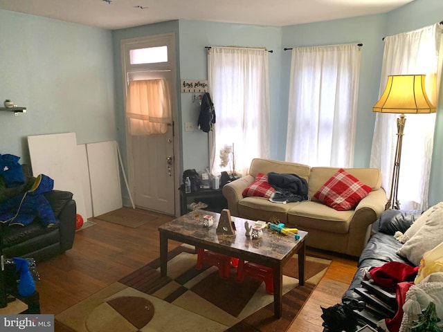 living room featuring hardwood / wood-style flooring