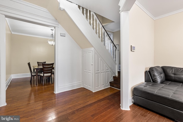 stairs featuring hardwood / wood-style flooring and ornamental molding