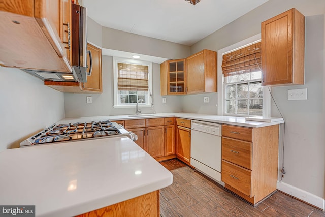 kitchen featuring dishwasher, stove, dark hardwood / wood-style flooring, and sink