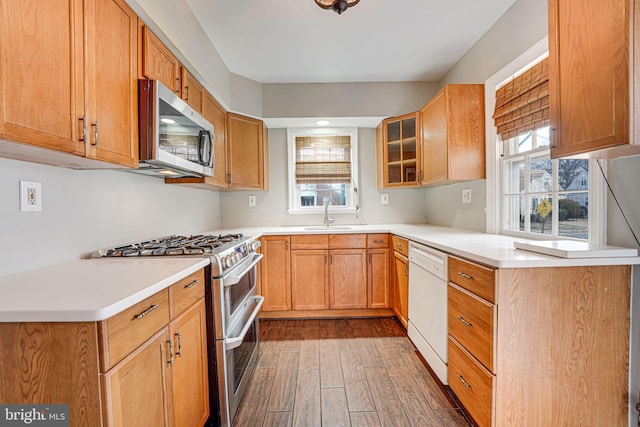 kitchen featuring dark wood-type flooring, sink, and stainless steel appliances