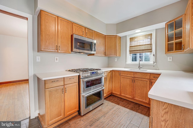 kitchen with sink, light hardwood / wood-style flooring, and appliances with stainless steel finishes