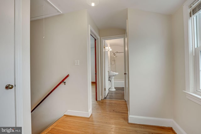 corridor featuring light hardwood / wood-style floors