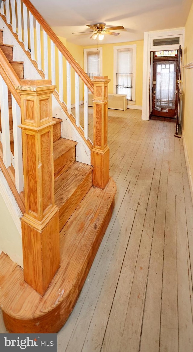 staircase with ceiling fan and wood-type flooring