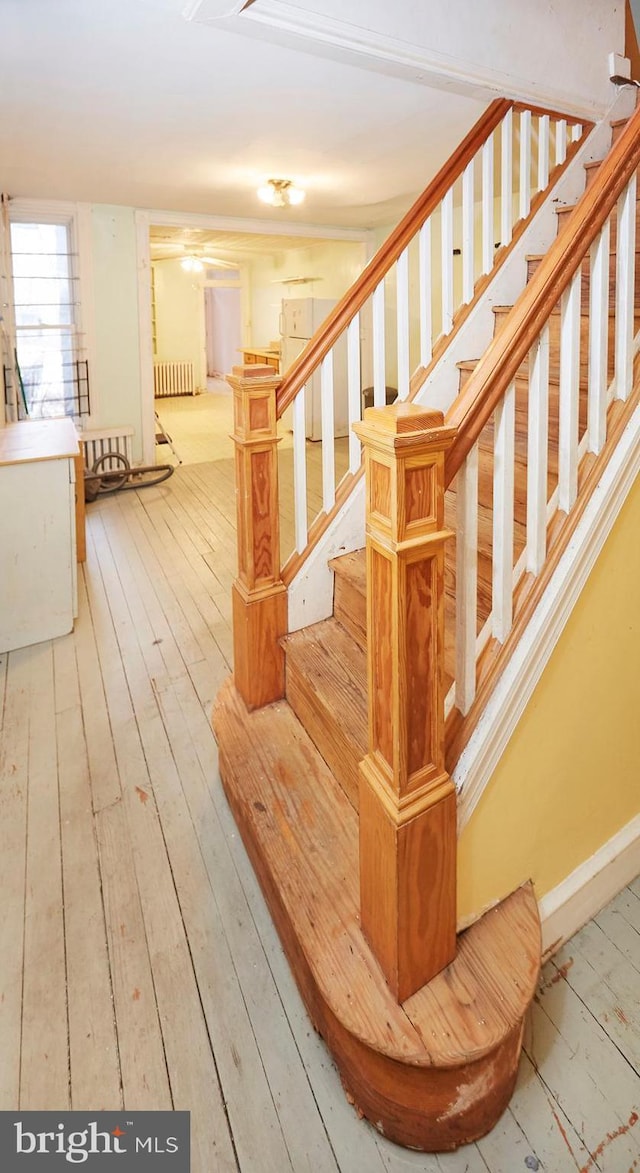 staircase with hardwood / wood-style flooring and radiator heating unit