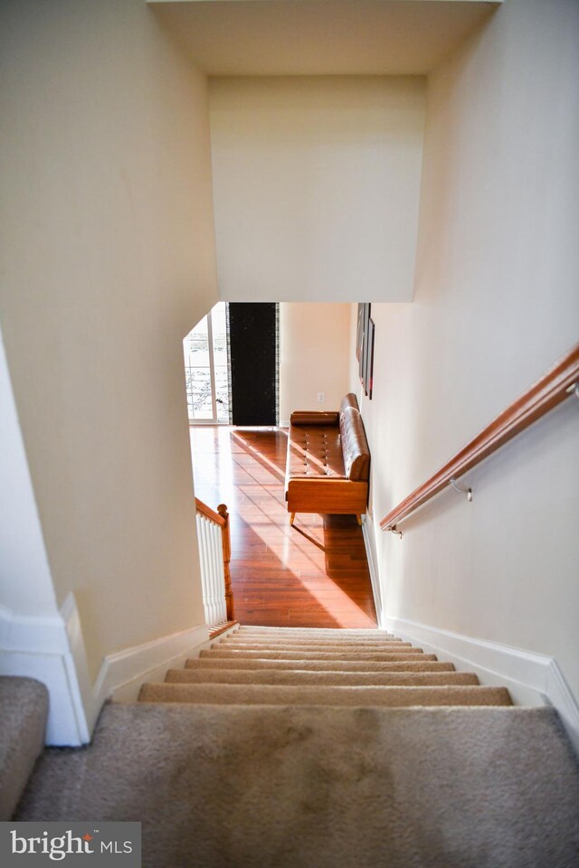 stairway with wood-type flooring