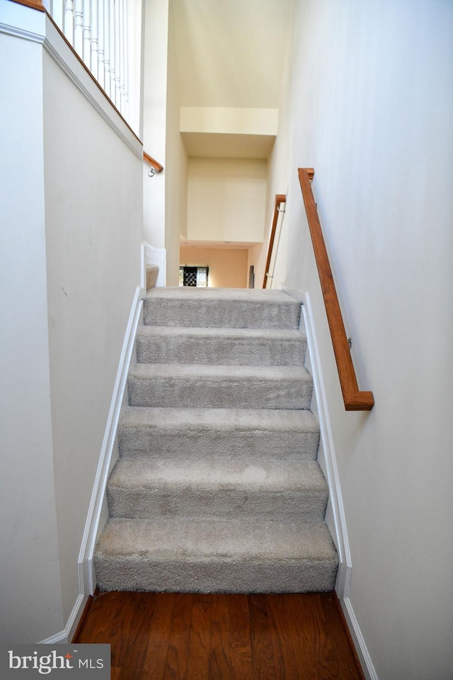 stairway featuring hardwood / wood-style floors