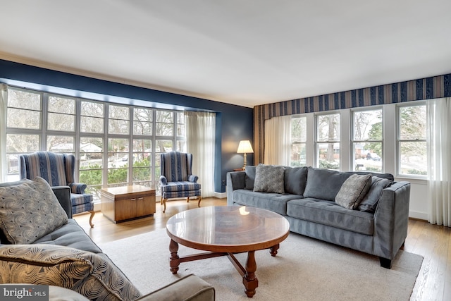 living room featuring light hardwood / wood-style flooring