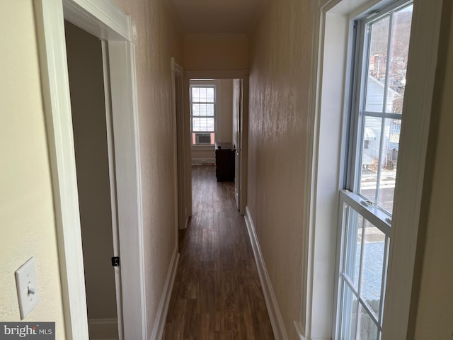 hallway featuring dark hardwood / wood-style floors