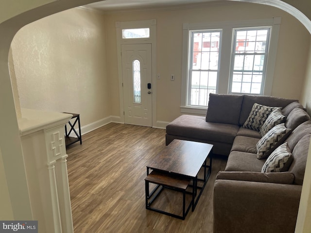 living room with hardwood / wood-style flooring and ornamental molding