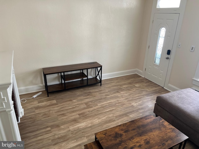 foyer featuring dark wood-type flooring